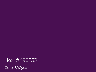 Hex #490f52 Color Image