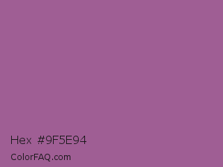 Hex #9f5e94 Color Image