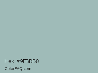 Hex #9fbbb8 Color Image