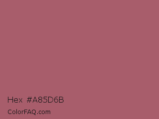 Hex #a85d6b Color Image