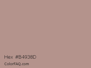 Hex #b4938d Color Image