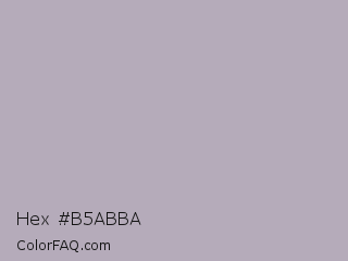 Hex #b5abba Color Image