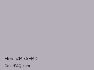 Hex #b5afb9 Color Image