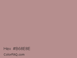 Hex #b68e8e Color Image