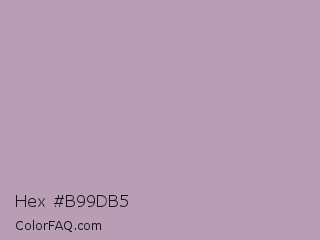 Hex #b99db5 Color Image