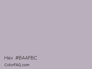 Hex #baafbc Color Image