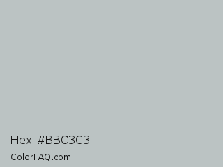 Hex #bbc3c3 Color Image