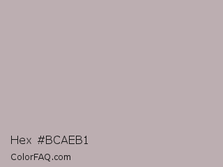 Hex #bcaeb1 Color Image