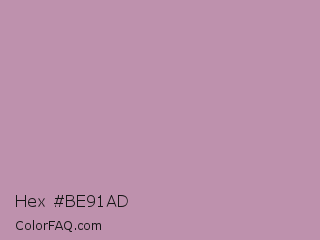 Hex #be91ad Color Image