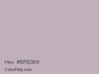 Hex #bfb0b9 Color Image