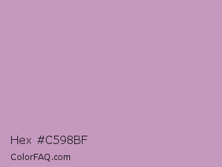 Hex #c598bf Color Image