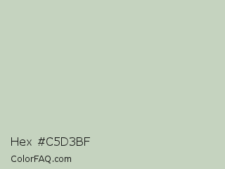 Hex #c5d3bf Color Image