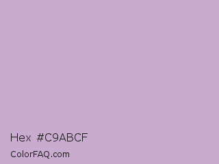 Hex #c9abcf Color Image