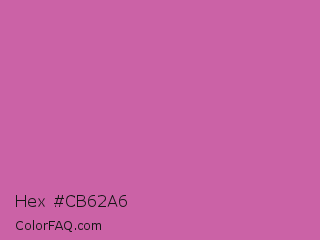 Hex #cb62a6 Color Image
