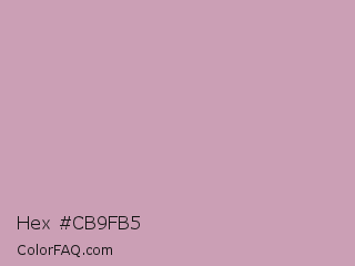 Hex #cb9fb5 Color Image