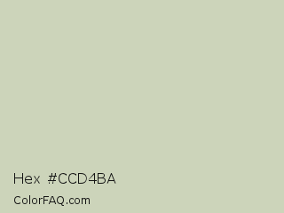 Hex #ccd4ba Color Image