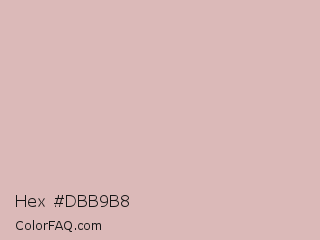 Hex #dbb9b8 Color Image