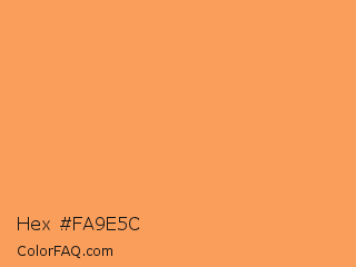 Hex #fa9e5c Color Image