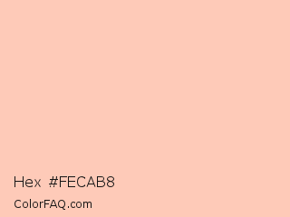 Hex #fecab8 Color Image