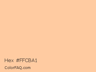 Hex #ffcba1 Color Image