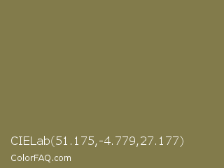 CIELab 51.175,-4.779,27.177 Color Image