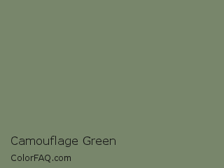 CIELab 54.138,-10.352,12.856 Camouflage Green Color Image