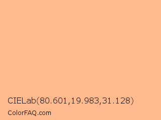 CIELab 80.601,19.983,31.128 Color Image