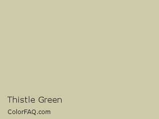 CIELab 80.686,-4.974,17.258 Thistle Green Color Image