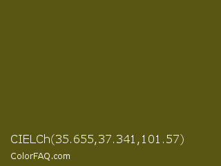 CIELCh 35.655,37.341,101.57 Color Image