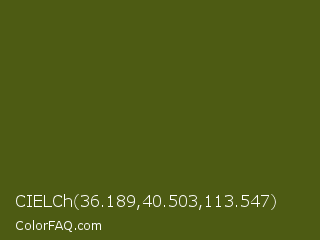 CIELCh 36.189,40.503,113.547 Color Image