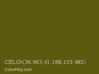 CIELCh 36.963,41.188,103.485 Color Image