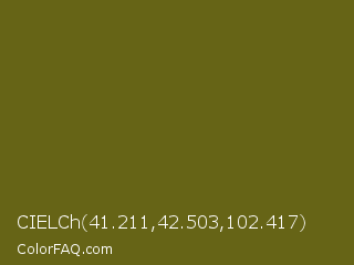 CIELCh 41.211,42.503,102.417 Color Image