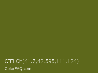 CIELCh 41.7,42.595,111.124 Color Image