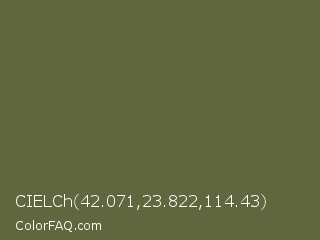 CIELCh 42.071,23.822,114.43 Color Image