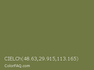 CIELCh 48.63,29.915,113.165 Color Image