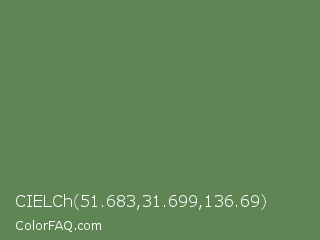 CIELCh 51.683,31.699,136.69 Color Image