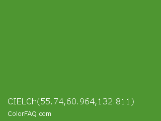 CIELCh 55.74,60.964,132.811 Color Image