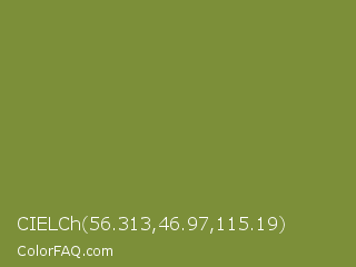 CIELCh 56.313,46.97,115.19 Color Image