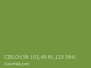 CIELCh 58.103,49.81,123.584 Color Image