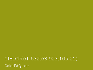 CIELCh 61.632,63.923,105.21 Color Image