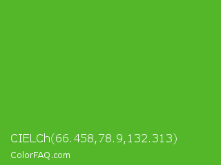 CIELCh 66.458,78.9,132.313 Color Image