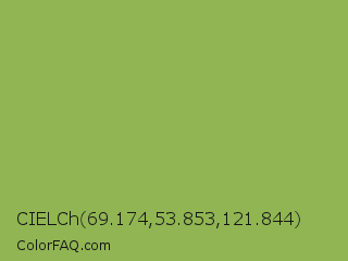 CIELCh 69.174,53.853,121.844 Color Image