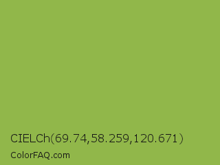 CIELCh 69.74,58.259,120.671 Color Image