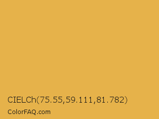 CIELCh 75.55,59.111,81.782 Color Image