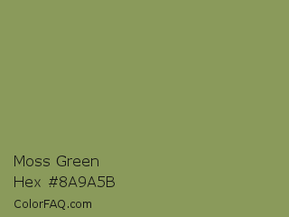 Moss Green Color Chip Paint Chip