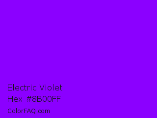 Electric Violet Color Chip Paint Chip