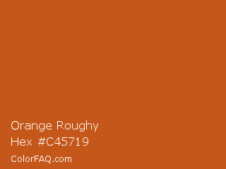 Orange Roughy Color Chip Paint Chip
