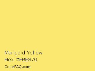 Marigold Yellow Color Chip Paint Chip
