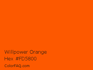 Willpower Orange Color Chip Paint Chip