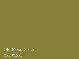 Decimal 142688564 Old Moss Green Color Image